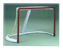 Professional Goal Frame